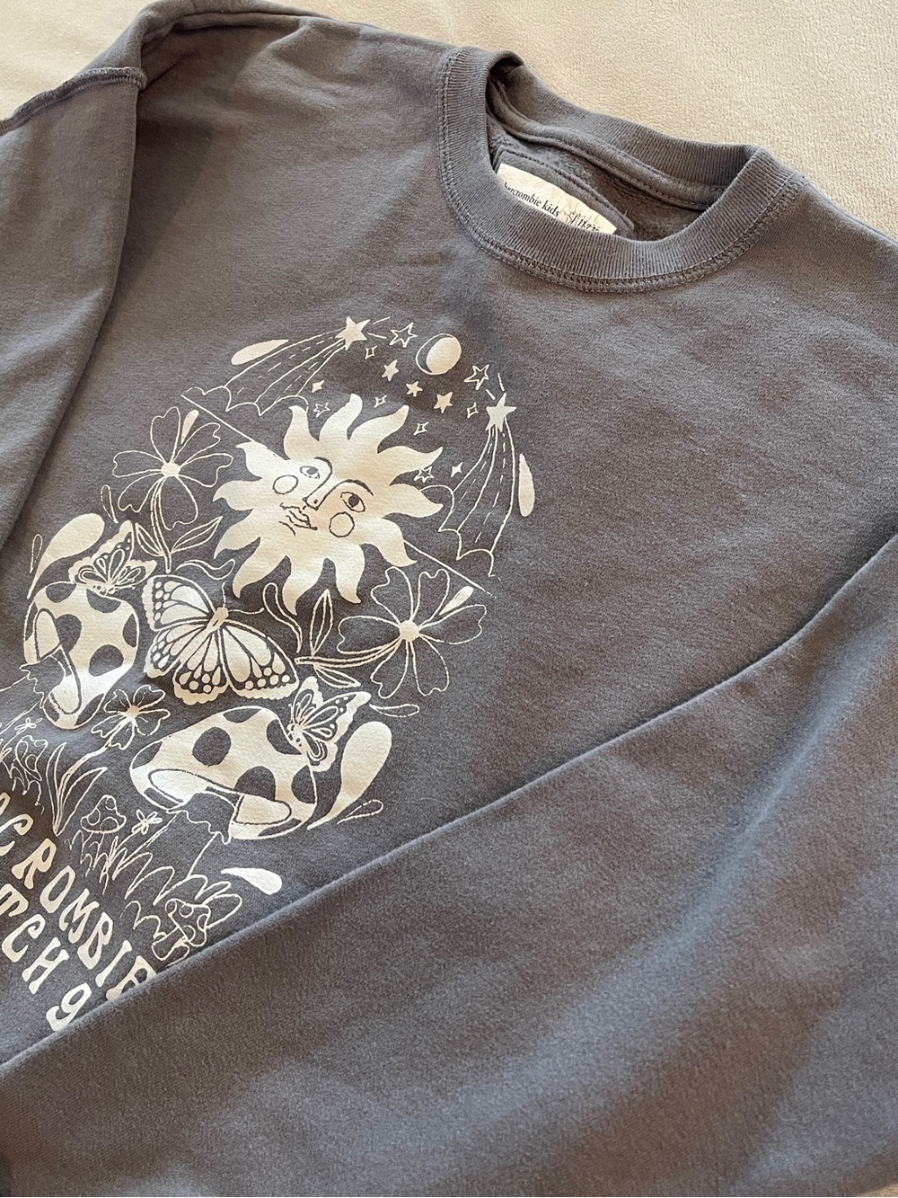 abercrombie kids Charcoal Crewneck with Sun, Mushroom & Butterfly Graphic